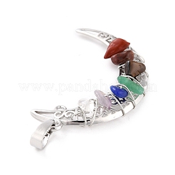 Chakra-Anhänger aus natürlichen Edelstein-Chips&nbsp;G-C235-01-RS