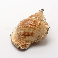 Mischformen natürliche Spiralschalenanhänger&nbsp;SSHEL-E556-01