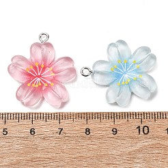 Pendentifs en résine transparente&nbsp;RESI-K053-02