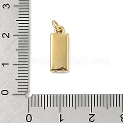 Ciondoli in acciaio inox 304&nbsp;STAS-U044-01G-G