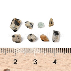 Pandahall natürliche Dalmatiner-Jaspis-Chip-Perlen&nbsp;G-M055-04