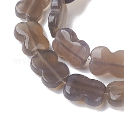 Fili di perle agata grigio naturale &nbsp;G-K359-D03-01