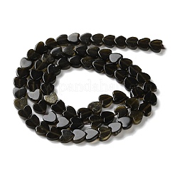 Natürliche goldenen Glanz Obsidian Perlen Stränge&nbsp;G-M403-A46-02