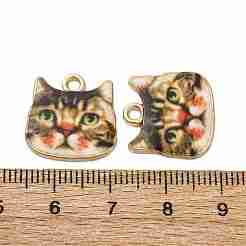 Pendentifs d'émail en alliage&nbsp;ENAM-V002-04G-04