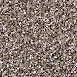 Miyuki Delica Perlen&nbsp;X-SEED-J020-DB0680