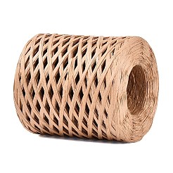 Ruban de raphia&nbsp;OCOR-I012-A11