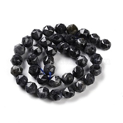Brins de perles de larvikite naturelles&nbsp;G-NH0021-A04-02