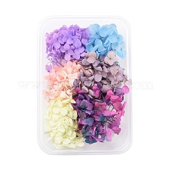 Getrocknete Blumen&nbsp;DIY-D052-17