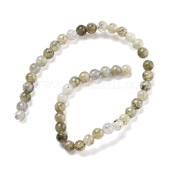 Chapelets de perles en labradorite naturelle&nbsp;G-O155-05B-4mm