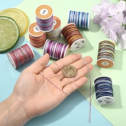 9 Rolle 9 Farben segmentgefärbter Polyesterfaden&nbsp;NWIR-YW0001-14