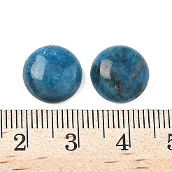 Natürliche Apatit-Cabochons&nbsp;G-S398-01B-04