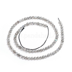 Natur Labradorit Perlen Stränge&nbsp;G-E560-C08-4mm