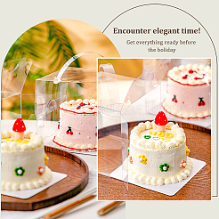 Faltbare transparente Kunststoff-Einzelkuchen-Geschenkverpackungsbox&nbsp;CON-WH0084-42C