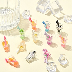 6 pendentif en résine imitation fruit thé&nbsp;RESI-YW0003-38