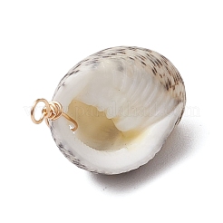 Natürlichen Muschel Anhänger&nbsp;PALLOY-JF02953