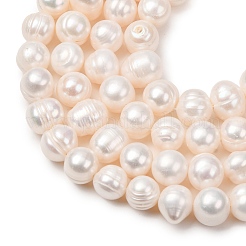 Fili di perle di perle d'acqua dolce coltivate naturali&nbsp;PA-CBABE82-11B