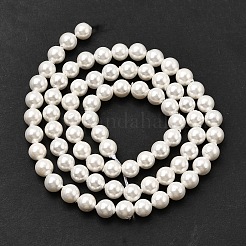 Perles de perles de coquille galvanoplastie&nbsp;BSHE-K017-5mm