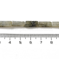Perline labradorite naturale fili&nbsp;G-G873-A02-01