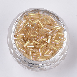 Ab farbig plattierte Glasperlen&nbsp;SEED-R011-162B