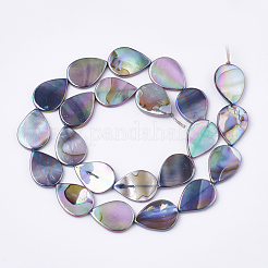 Ab Farbe Süßwasser Muschelperlen&nbsp;SHEL-S274-38