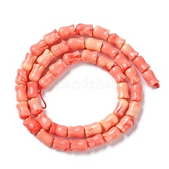 Fili di perline tinti di corallo sintetico&nbsp;SHEL-K007-01C