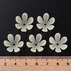 Perles en acrylique transparente&nbsp;MACR-S373-47-D03
