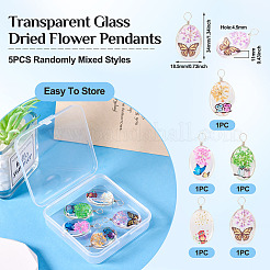 5pcs transparente Glasanhänger&nbsp;GLAA-TA0002-84