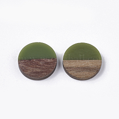 Cabochons aus Harz und Walnussholz&nbsp;RESI-Q210-010A-A01