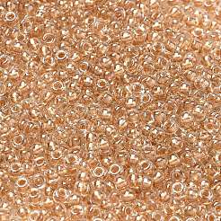Perline rotonde miyuki rocailles&nbsp;LS-X-SEED-G008-RR0234