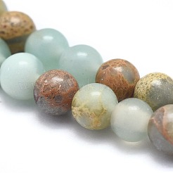 Natürliche Aqua Terra Jaspis Perlen Stränge&nbsp;G-N0128-48-4mm