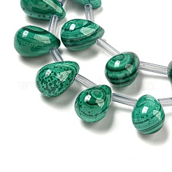 Natürliche Malachlit Perlen Stränge&nbsp;G-Q185-A01-02