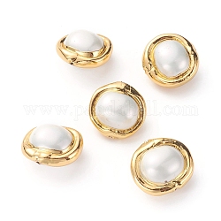 Perline di guscio, con i risultati in ottone placcato oro, ovale, bianco, 18~20x19~20x12~13mm, Foro: 0.8 mm