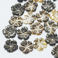 Черные бусины из ракушек для губ, цветок, чёрные, 8x1~2 мм, отверстие : 0.8 мм