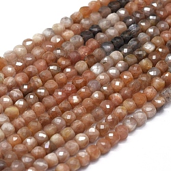 Chapelets de perles de sunstone naturelle naturelles, facette, carrée, 4x4x4mm, Trou: 0.7mm, Environ 80 pcs/chapelet, 15.55 pouce (39.5 cm)