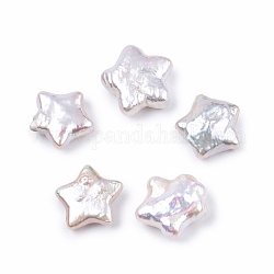 Perles de keshi baroques naturelles, Perles d'eau douce, sans trou, étoiles du nord, couleur de coquillage, 11.5~14x12~14.5x4~7mm