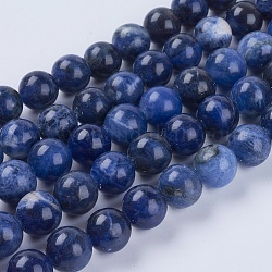 Chapelets de perles en sodalite naturelle, ronde, 10mm, Trou: 1mm, Environ 19 pcs/chapelet, 7.6 pouce