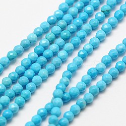 Natural Magnesite Beads Strands, Dyed & Heated, Faceted Round, 2mm, Hole: 0.8mm, about 190pcs/strand, 16 inch