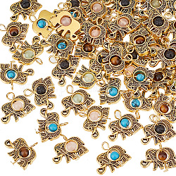 PandaHall Elite 60Pcs Natural & Synthetic Mixed Gemstone Pendants, Animal Charm, with Tibetan Style Alloy Findings and Iron Loops, Mixed Dyed and Undyed, Antique Golden, 15.5x18x4mm, Hole: 2.5mm