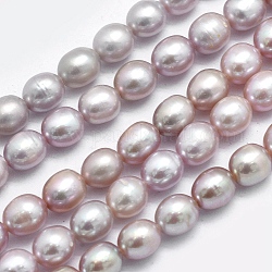 Hebras de perlas de agua dulce cultivadas naturales, oval, cardo, 6.5~7x5.5~6mm, agujero: 0.8 mm, aproximamente 44 pcs / cadena, 14.17 pulgada (36 cm)