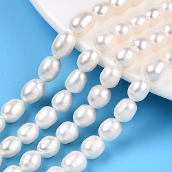 Fili di perle di perle d'acqua dolce coltivate naturali, riso, colore conchiglia, 6.5~11.5x6~7.5mm, Foro: 0.7 mm, circa 37~46pcs/filo, 13.66 ~14.25 pollice (34.7 cm ~ 36.2 cm)