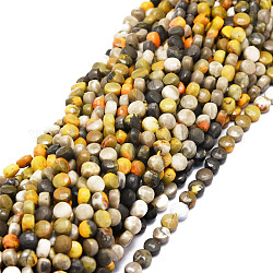 Brins de perles de jaspe bourdon naturel, facette, plat rond, 4x3mm, Trou: 0.8mm, Environ 100 pcs/chapelet, 15.35'' (39 cm)