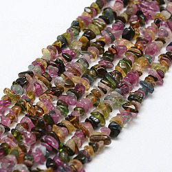 Chapelets de perles en tourmaline naturelle, puce, Grade a, colorées, 3~5x7~13x2~4mm, Trou: 0.4mm, environ 32~32.5 pouce