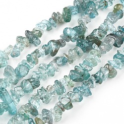 Chapelets de perles en apatite naturelle, puce, 5~13x3~8mm, Trou: 0.6mm, 33~33.4 pouce (84~85 cm)