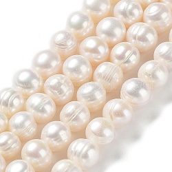 Fili di perle di perle d'acqua dolce coltivate naturali, patata, grado 2 un, bianco antico, 9~10x9~10mm, Foro: 0.6 mm, circa 38pcs/filo, 14.76'' (37.5 cm)