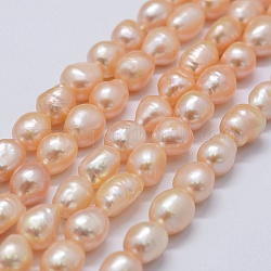 Fili di perle di perle d'acqua dolce coltivate naturali, due lati lucido, peachpuff, 9~13x9~10x6.5~10mm, Foro: 0.2 mm, circa 33pcs/filo, 14.1 pollice