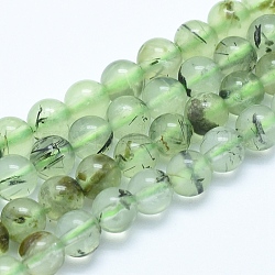 Natur Prehnit Perlen Stränge, Runde, 8 mm, Bohrung: 1 mm, ca. 50 Stk. / Strang, 15.7 Zoll (40 cm)