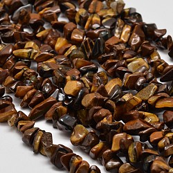Chip natürlichen Tigerauge Perlen Stränge, 5~8x5~8 mm, Bohrung: 1 mm, 34 Zoll