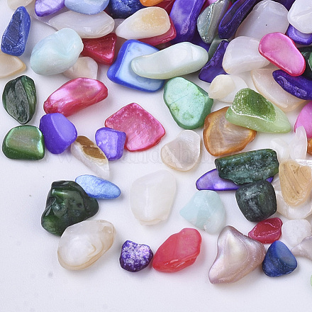 Perles de coquillages naturels d'eau douce X-SHEL-N003-03-1
