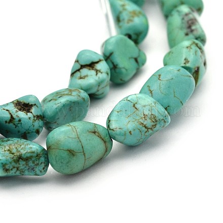 Natural Howlite Beads Strands TURQ-P027-54B-1
