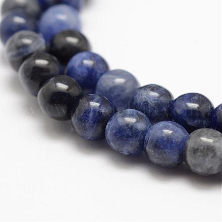 Natural Sodalite Beads Strands G-E370-04-1
